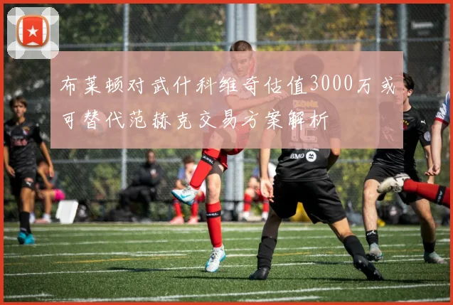 布莱顿对武什科维奇估值3000万或可替代范赫克交易方案解析